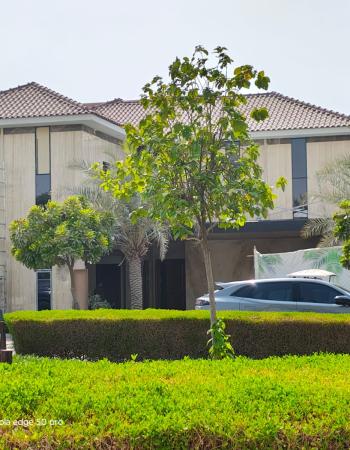 Villa Modification